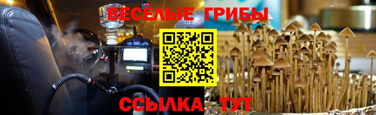 что такое   Галлюциногенные грибы Magic Shrooms  Вход с VPN  Можайск 